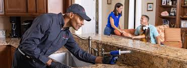 Best Pest Prevention Services  in Greenville, AL